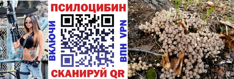 darknet официальный сайт  mega вход  Сибай  Галлюциногенные грибы прущие грибы 