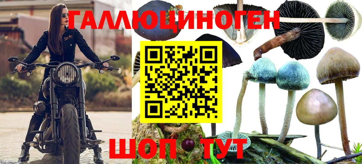 Псилоцибиновые грибы Psilocybine cubensis  Вход с VPN  Сибай 